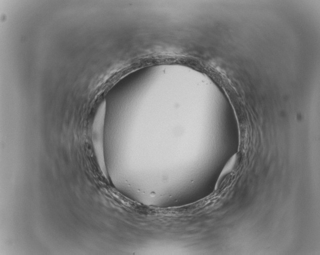 X0000088071157200706011506