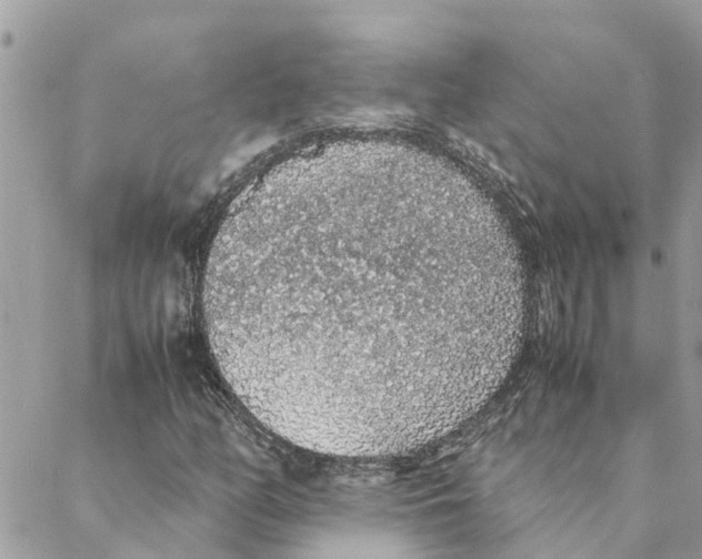 X0000088071158200706011506