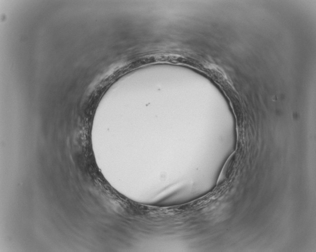 X0000088071159200706011506