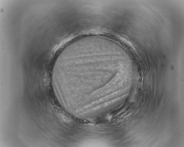 X0000088071160200706011506