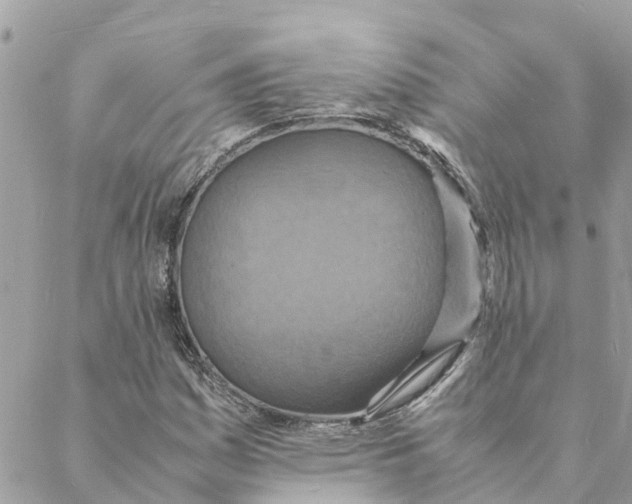 X0000088071161200706011506