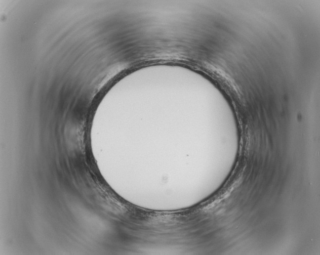 X0000088071162200706011506