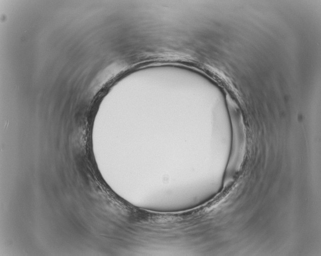 X0000088071163200706011506