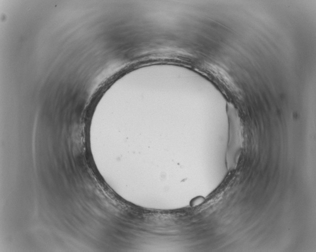 X0000088071164200706011506