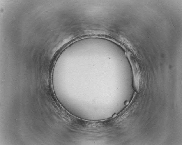 X0000088071165200706011506