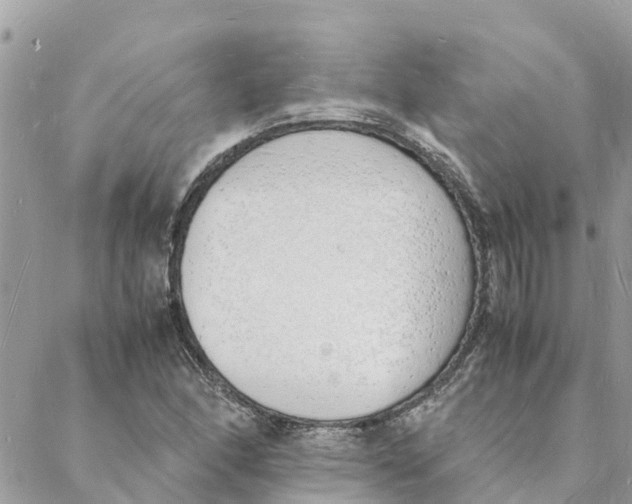 X0000088071166200706011506