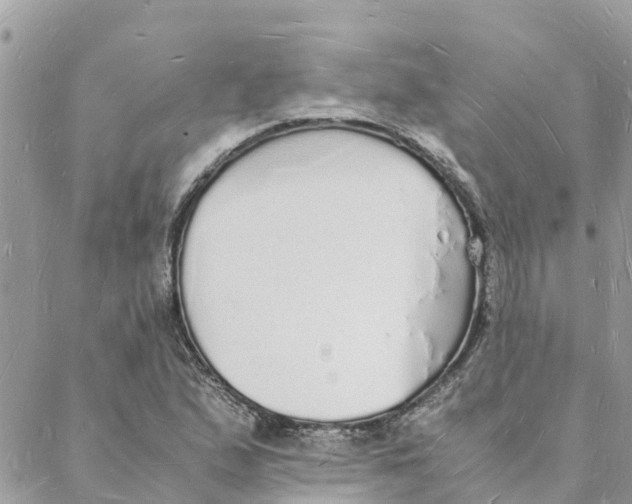 X0000088071167200706011506