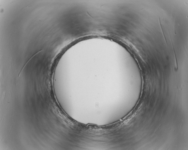 X0000088071168200706011506