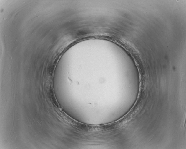 X0000088071169200706011506