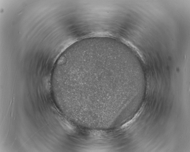 X0000088071170200706011506