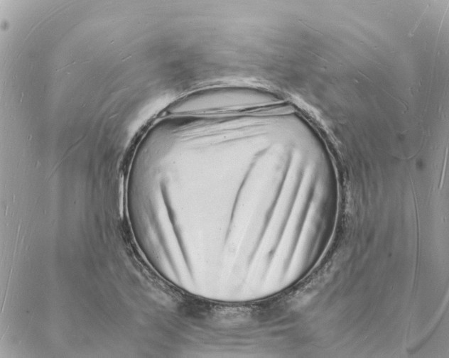 X0000088071171200706011506