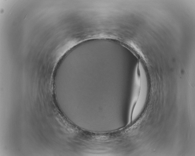 X0000088071173200706011506