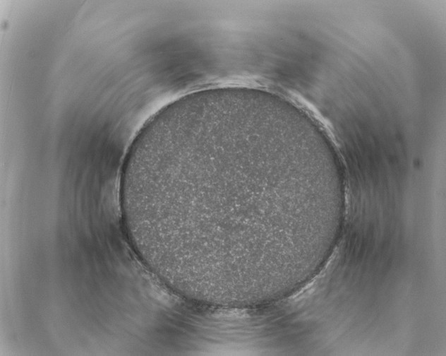 X0000088071174200706011506