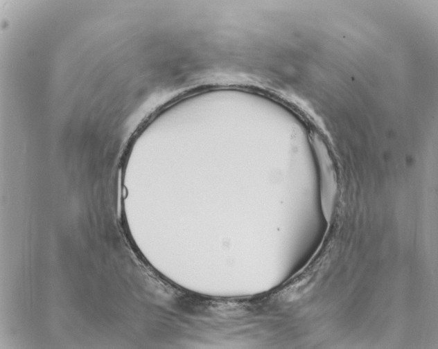 X0000088071175200706011506