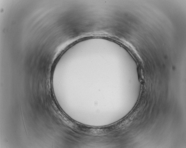 X0000088071176200706011506