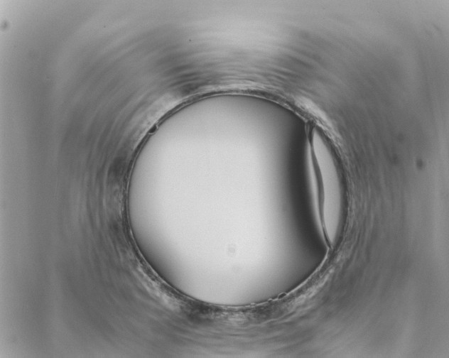 X0000088071177200706011506