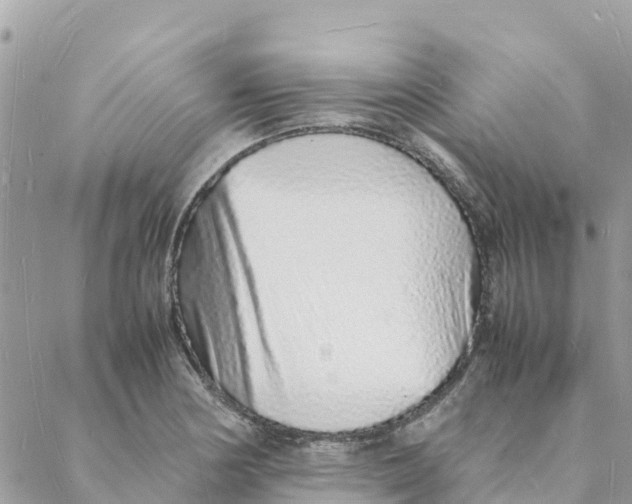 X0000088071178200706011506