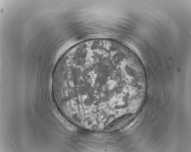 X0000088071179200706011506