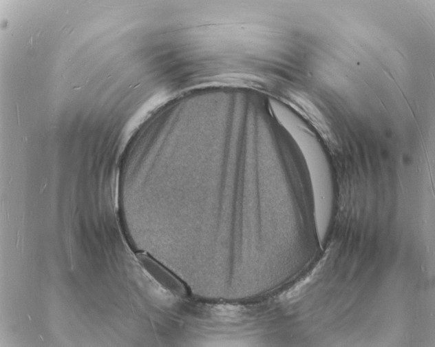 X0000088071180200706011506