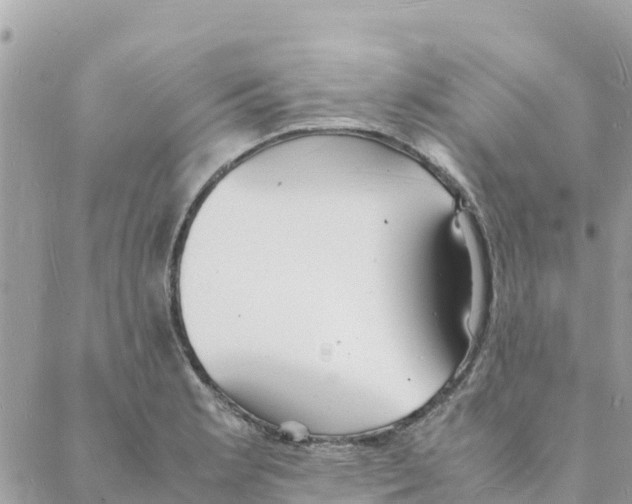 X0000088071181200706011506