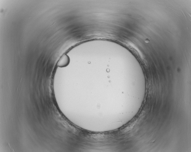 X0000088071182200706011506