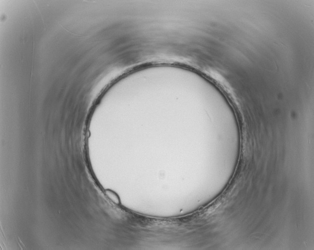 X0000088071183200706011506