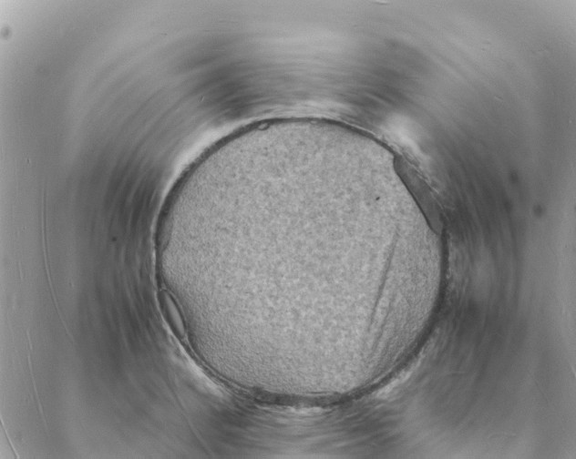 X0000088071184200706011506