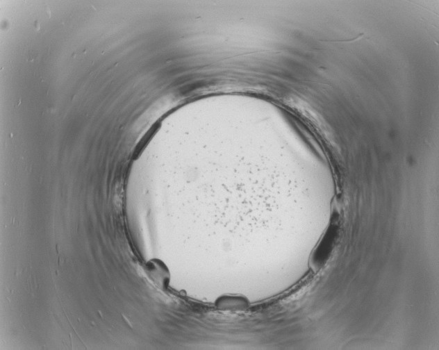 X0000088071185200706011506