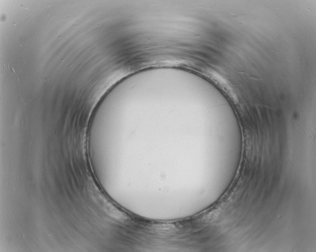 X0000088071186200706011506