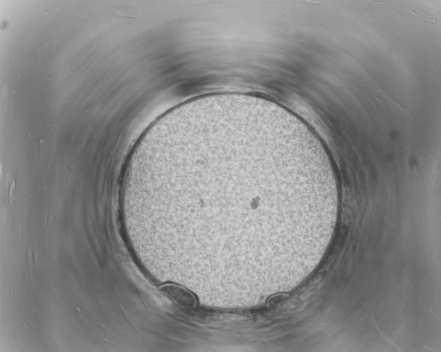 X0000088071187200706011506