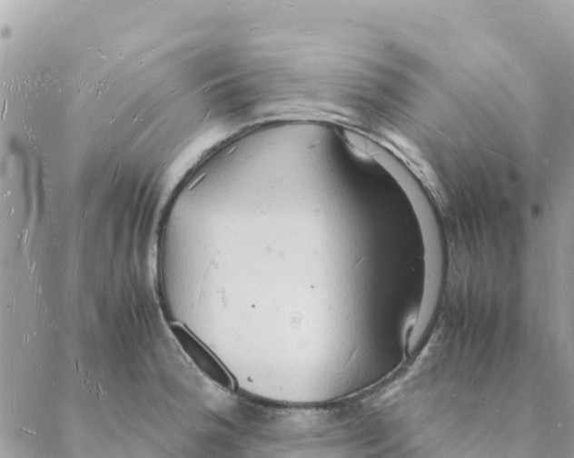 X0000088071188200706011506