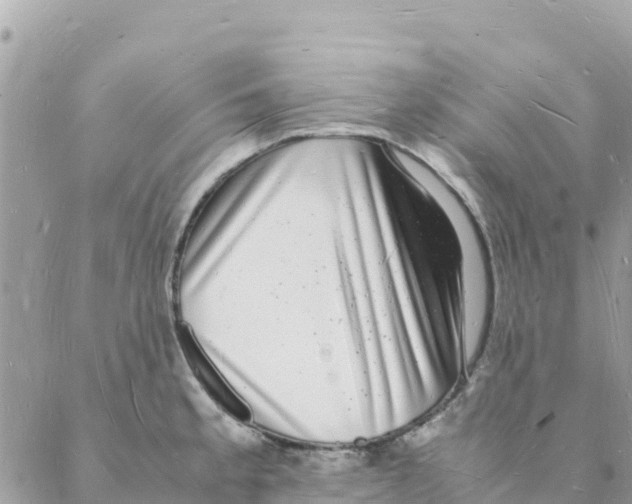 X0000088071189200706011506