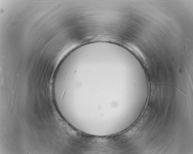 X0000088071190200706011506