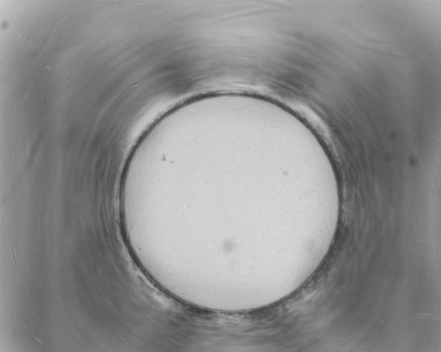 X0000088071191200706011506