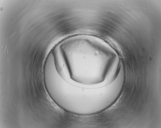 X0000088071192200706011506