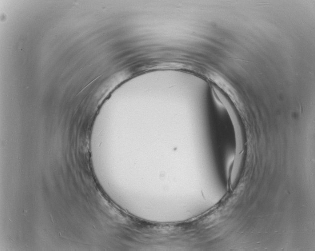 X0000088071193200706011506