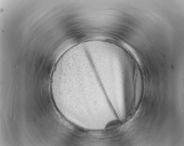 X0000088071194200706011506