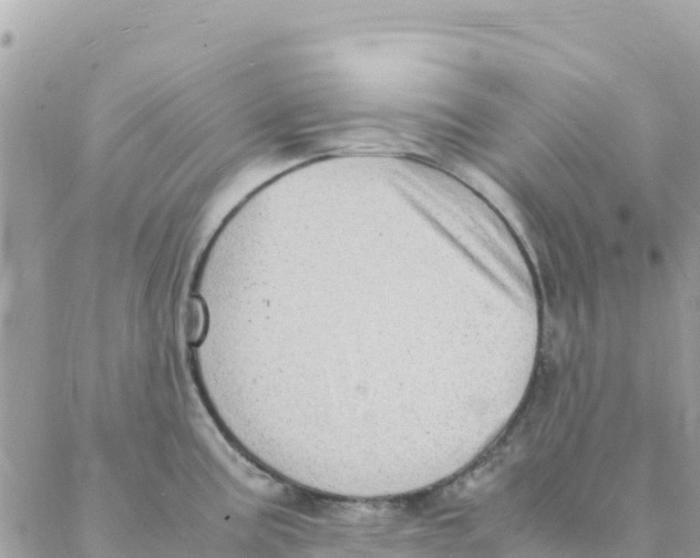 X0000088071195200706011506