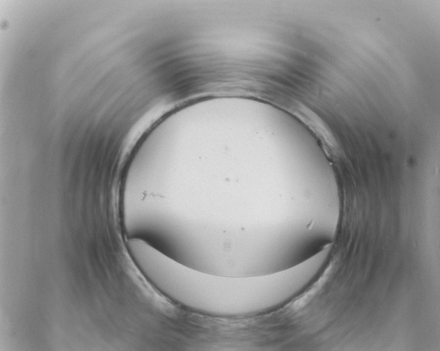 X0000088071196200706011506