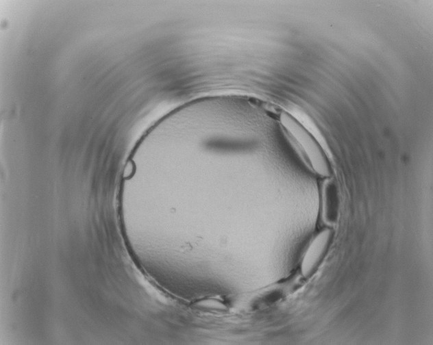 X0000088071197200706011506