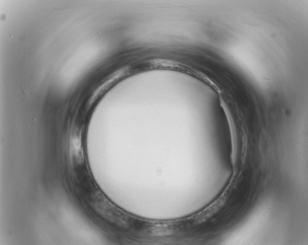 X0000088071198200706011506