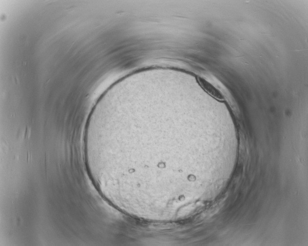 X0000088071199200706011506