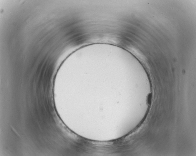 X0000088071200200706011506