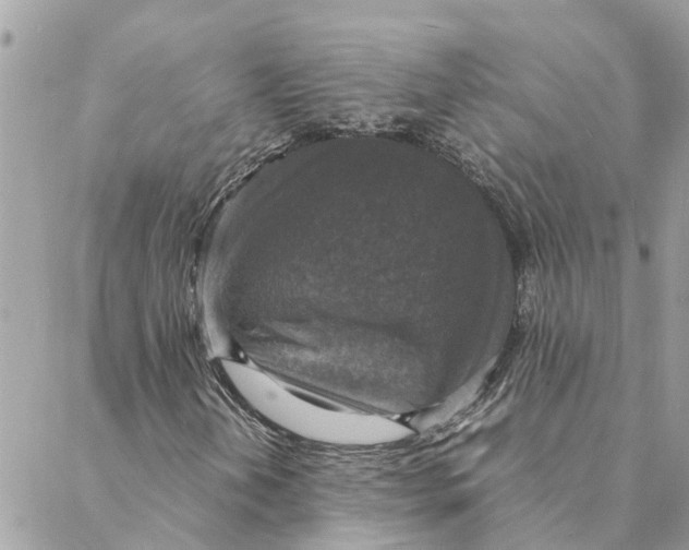 X0000088071202200706011505