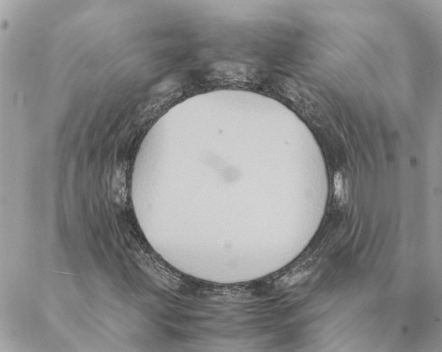 X0000088071203200706011505