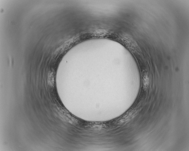 X0000088071204200706011505