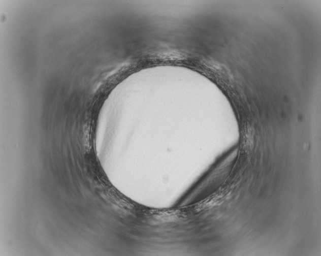 X0000088071205200706011505