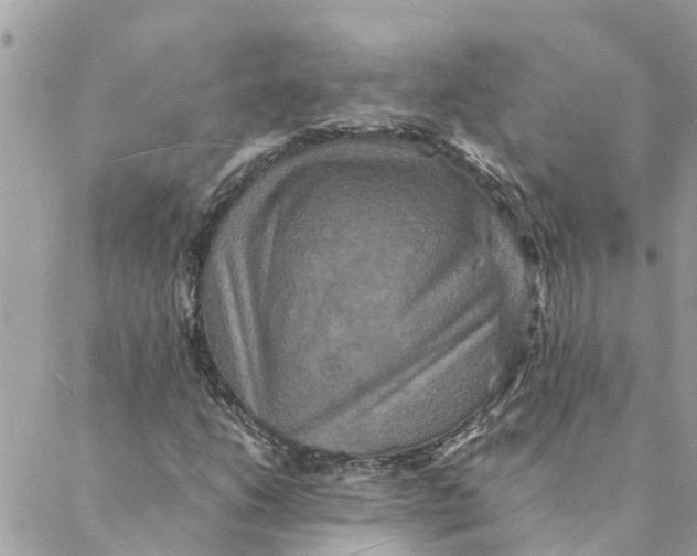 X0000088071206200706011505