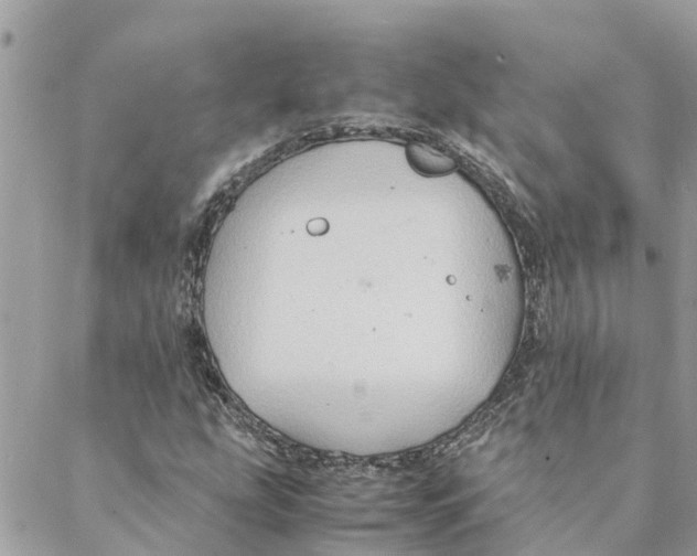 X0000088071207200706011505