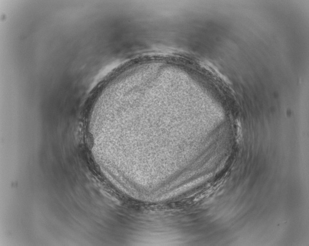 X0000088071208200706011505